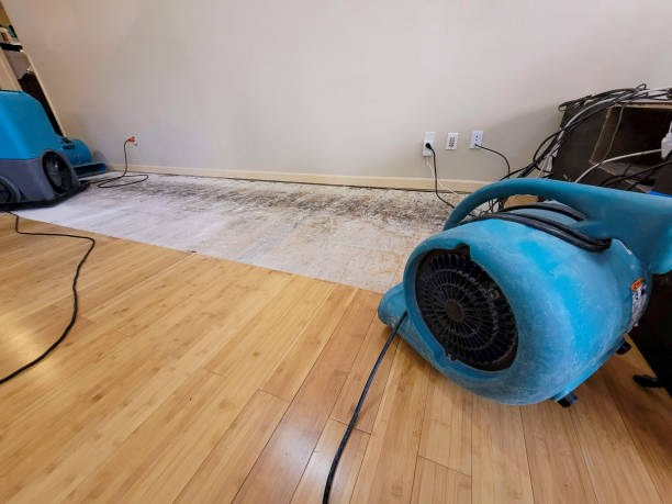 Professional Structural Drying technician working in Hollandale, MN